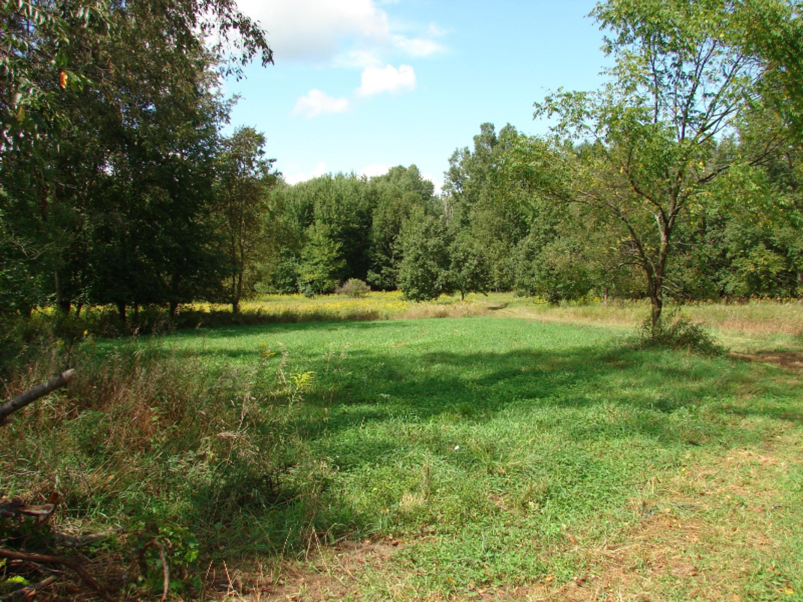 4991 Hicks Road Albion, MI 49224 - Photo 13 of 23 DSC07816