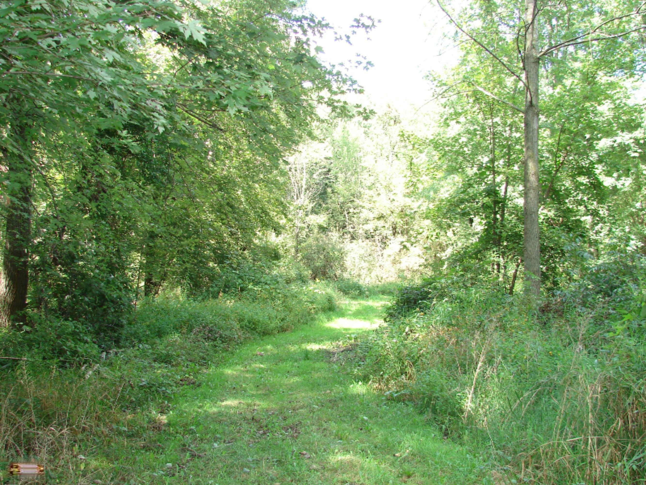 4991 Hicks Road Albion, MI 49224 - Photo 19 of 23 DSC07823