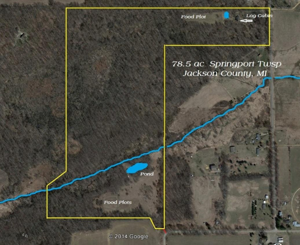 4991 Hicks Road Albion, MI 49224 - Photo 2 of 23 78