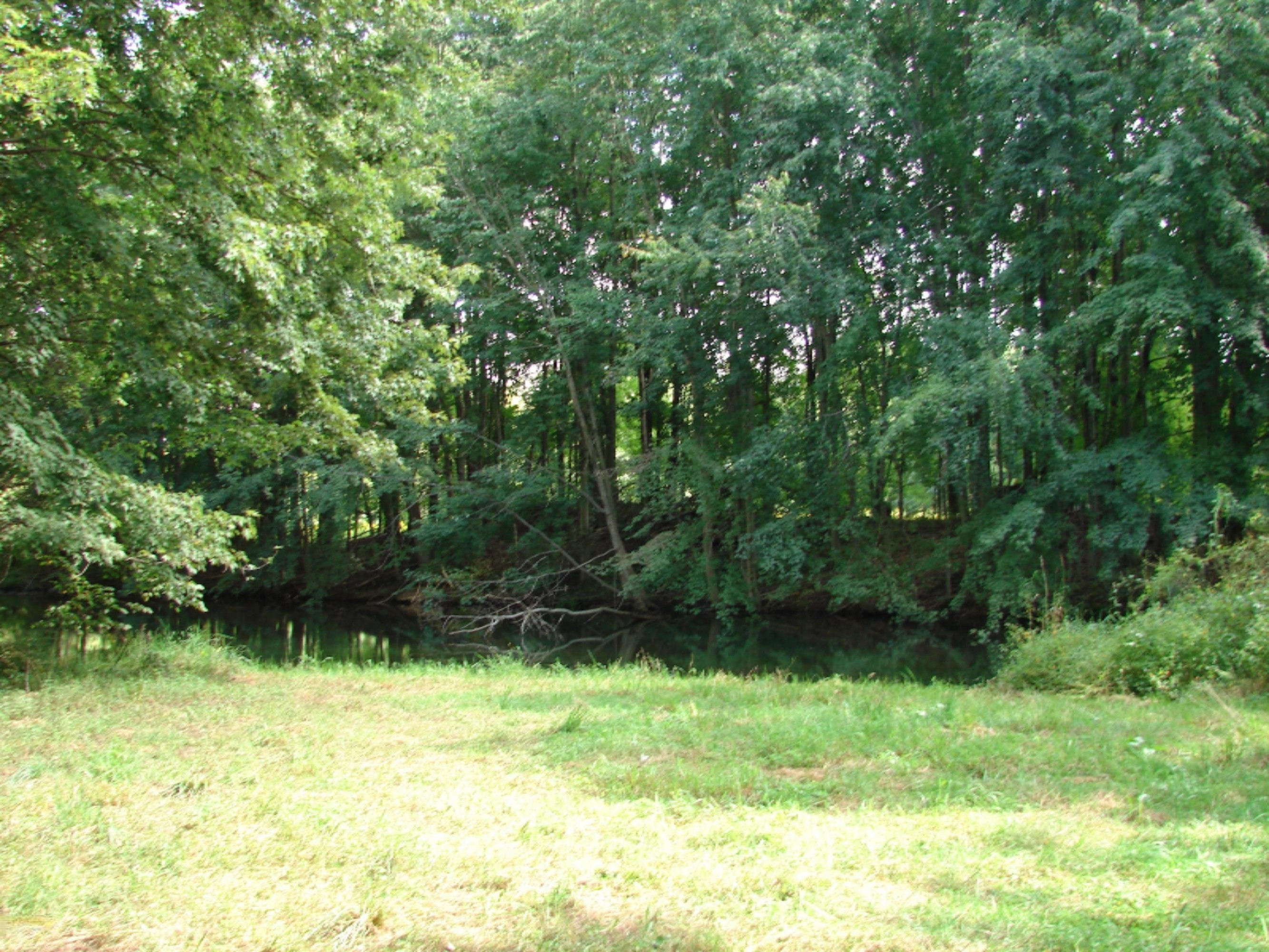 4991 Hicks Road Albion, MI 49224 - Photo 22 of 23 DSC07826