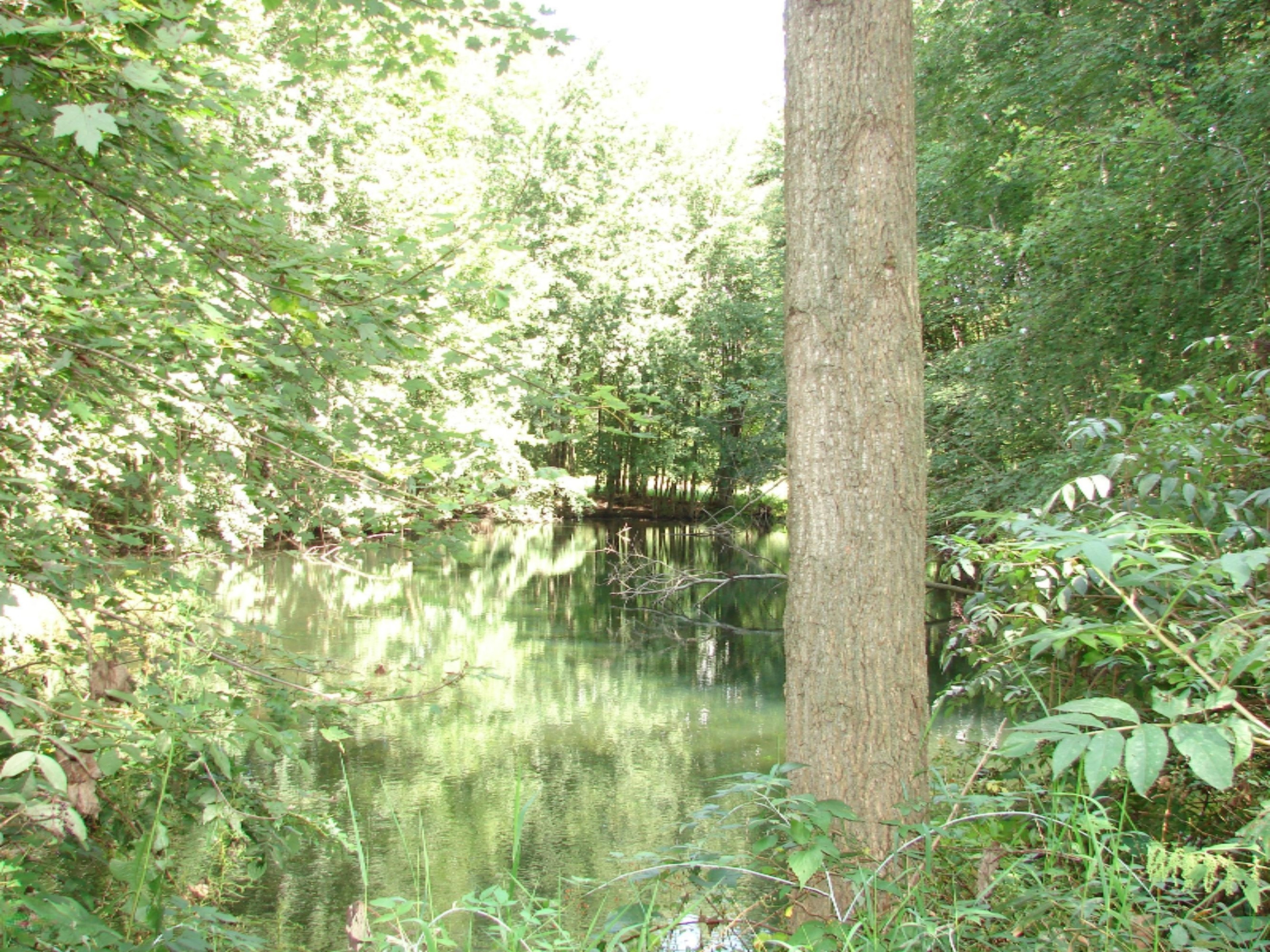 4991 Hicks Road Albion, MI 49224 - Photo 23 of 23 DSC07827