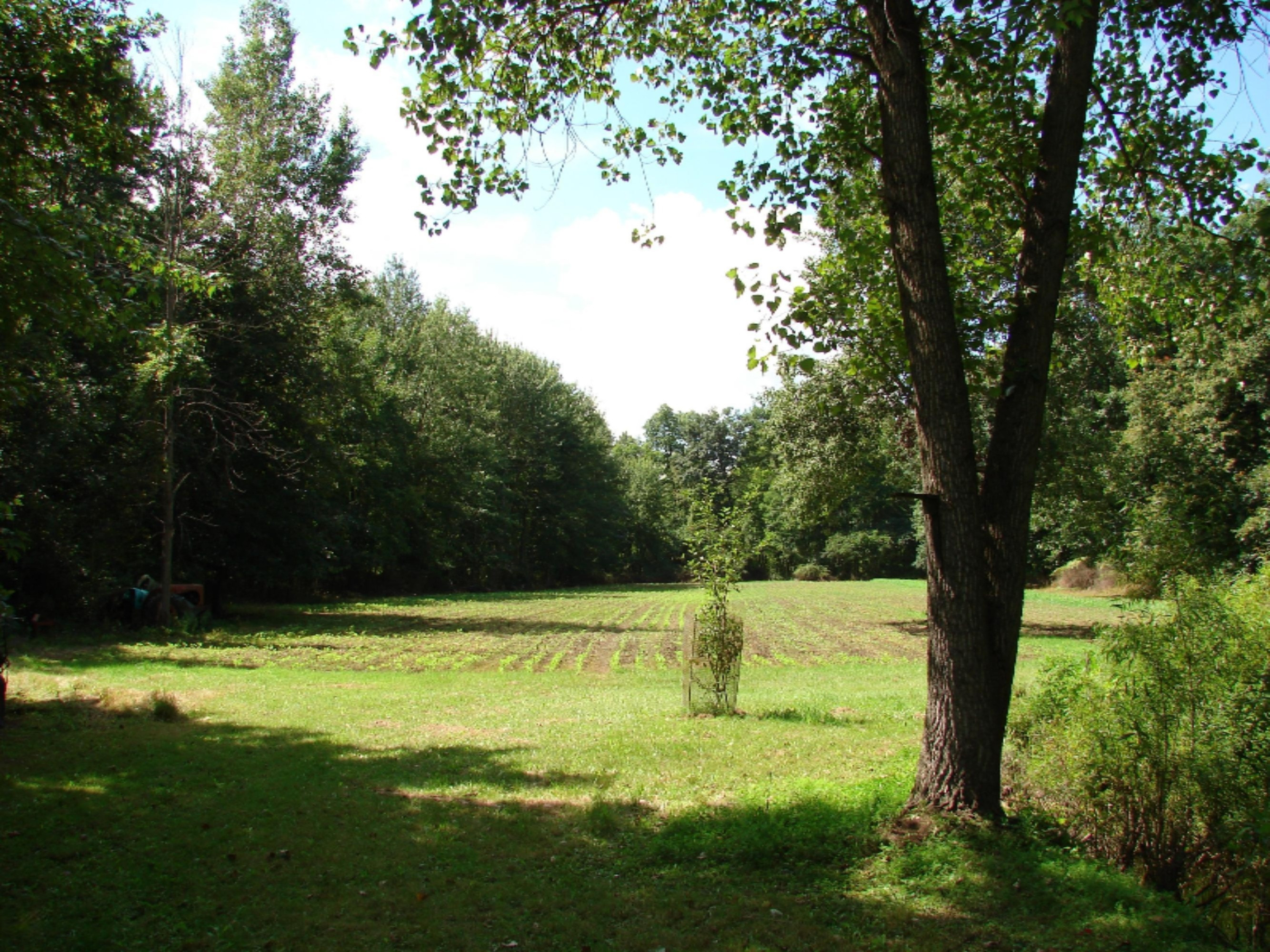 4991 Hicks Road Albion, MI 49224 - Photo 5 of 23 DSC07807