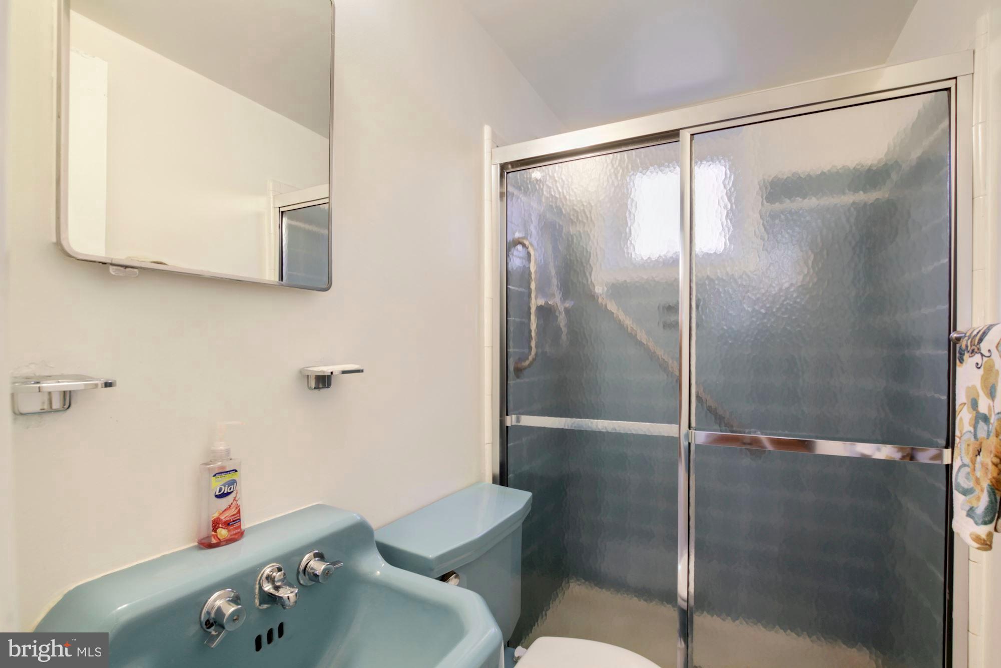 9834 Cherry Tree Lane Silver Spring, MD 20901 - Photo 40 of 49 Full Bath on Lower Level