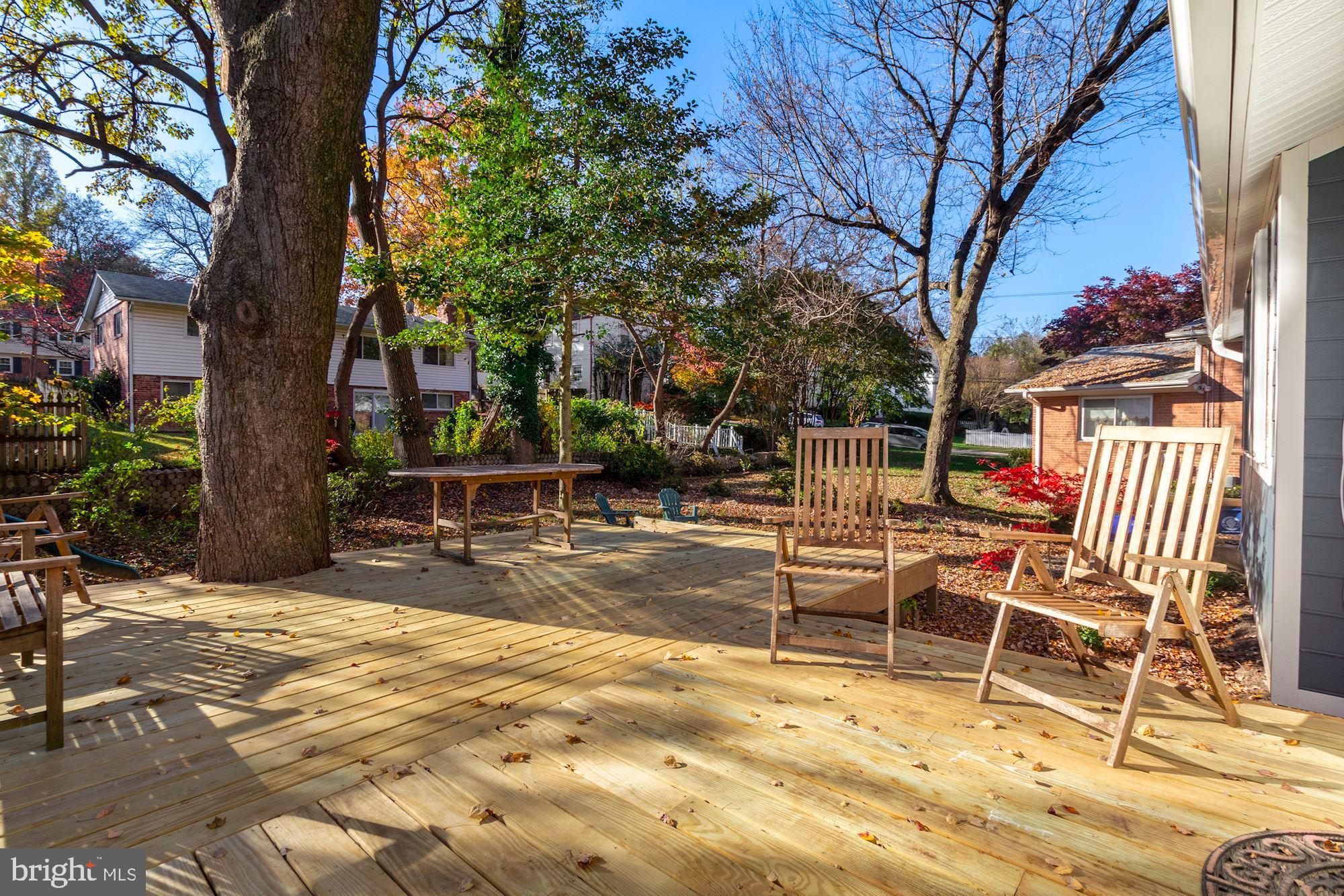 9834 Cherry Tree Lane Silver Spring, MD 20901 - Photo 45 of 49