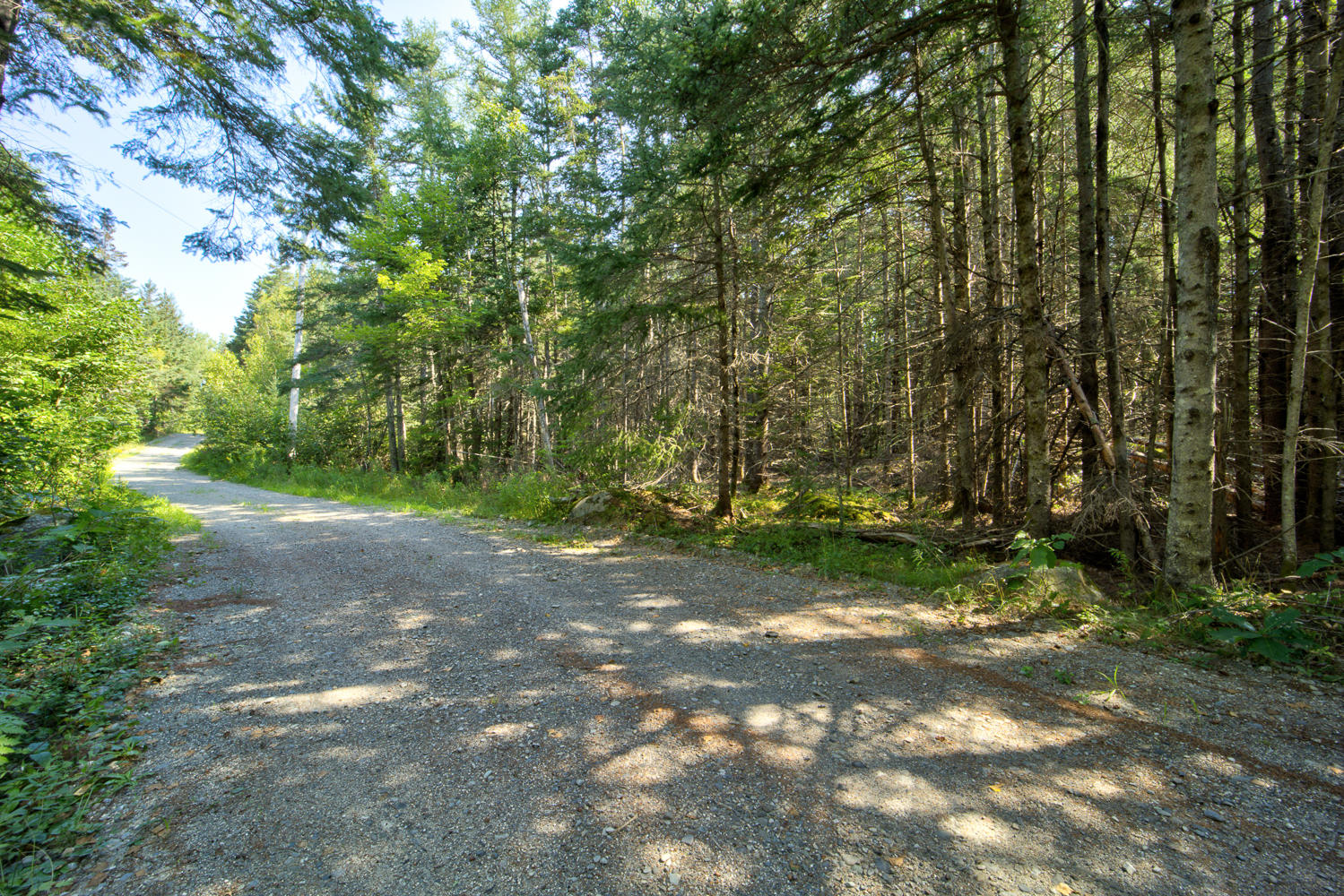 30 Bear Head Road Sedgwick, ME 04676 - Photo 14 of 15 Bear Head Land 15