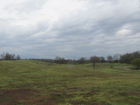 Fairview Church Road Smiths Grove, KY 42171 - Photo 34 of 34 Gallery Image 34