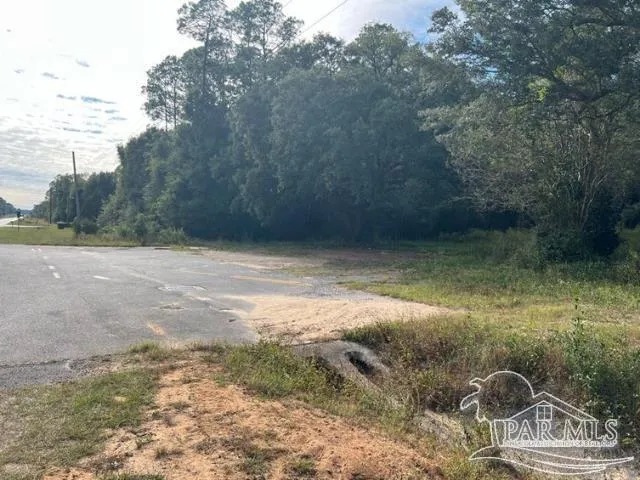 a view of a dry yard