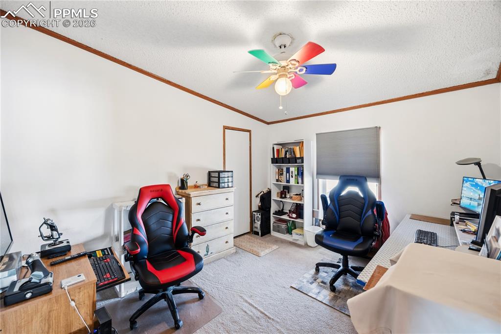 755 High Prairie Point Calhan, CO 80808 - Photo 19 of 49