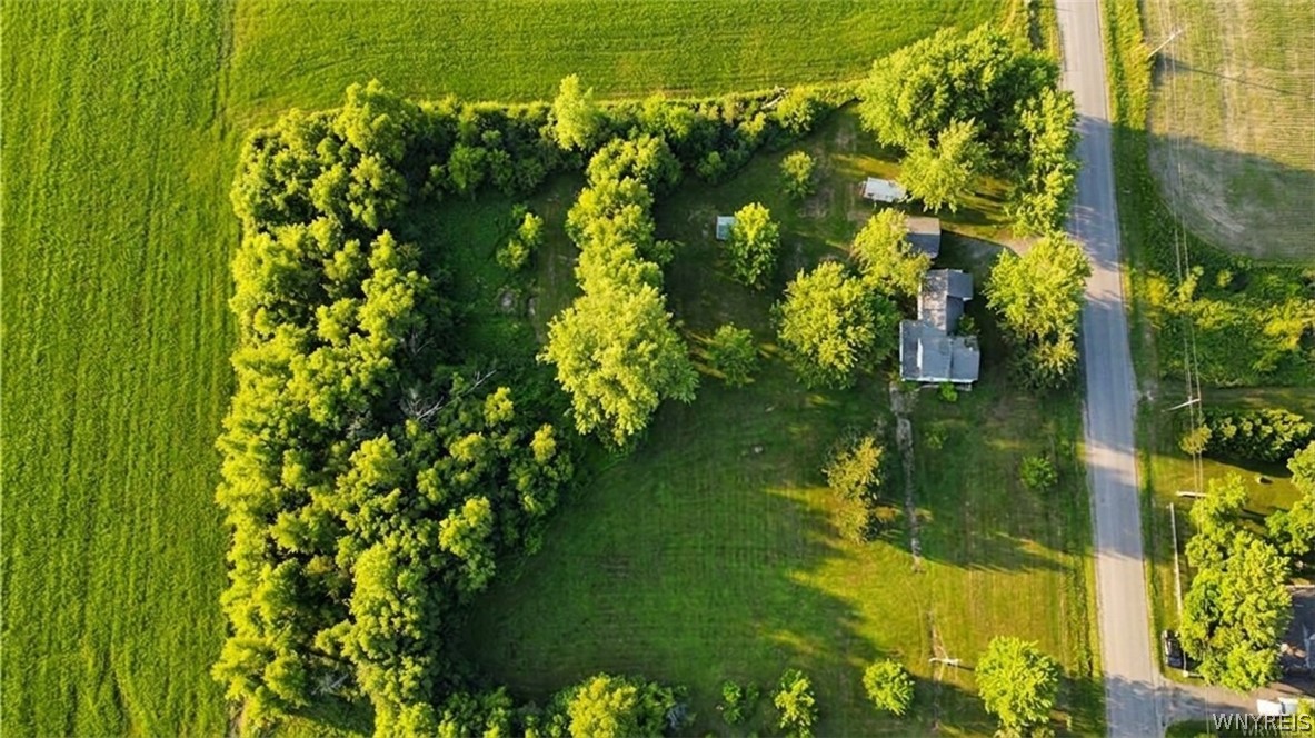 3690 Long Bridge Road Albion, NY 14411 - Photo 6 of 6 Gallery Image 6