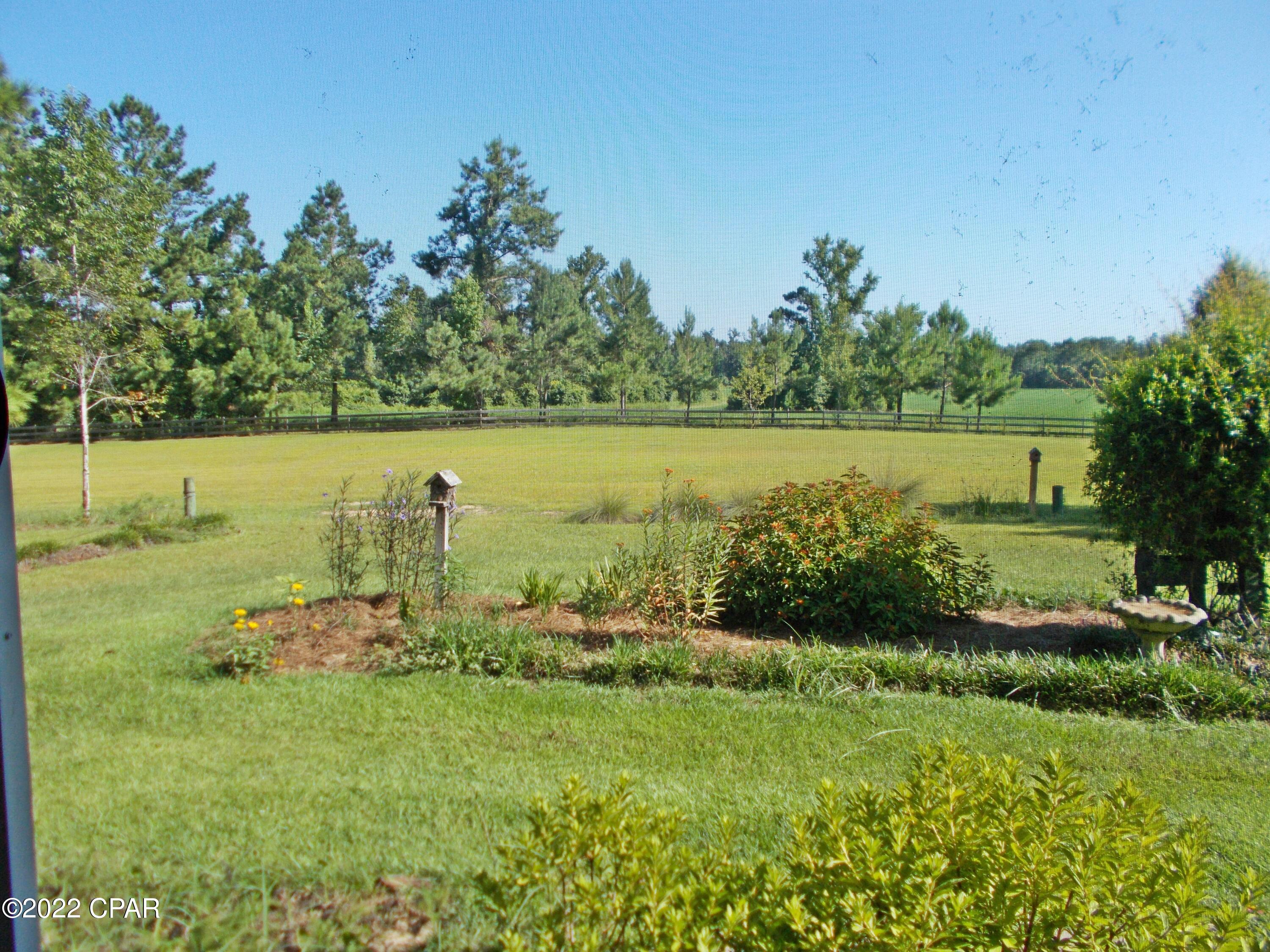 2399 El Bethel Church Road Grand Ridge, FL 32442 - Photo 8 of 60 Gallery Image 8