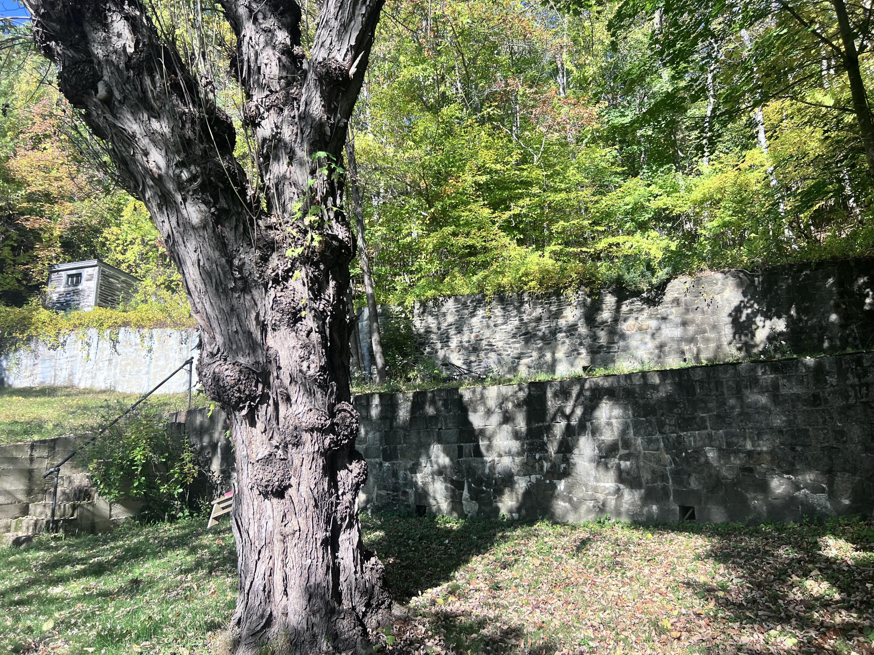 10 Otis Street Jay, ME 04239 - Photo 23 of 25 tiered lawn