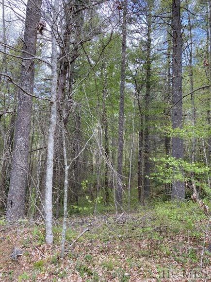 Tr C Trillium Ridge Road Cashiers, NC 28717 - Photo 2 of 16 Gallery Image 2