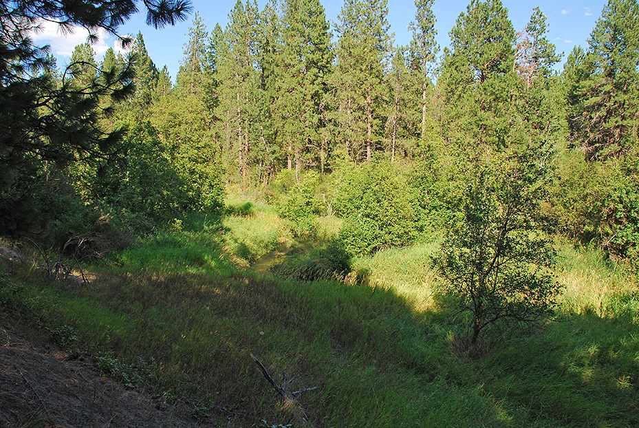 5204 West Staley Road Deer Park, WA 99006 - Photo 11 of 20