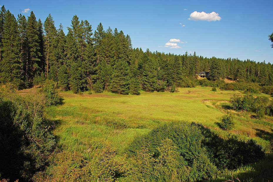 5204 West Staley Road Deer Park, WA 99006 - Photo 10 of 20