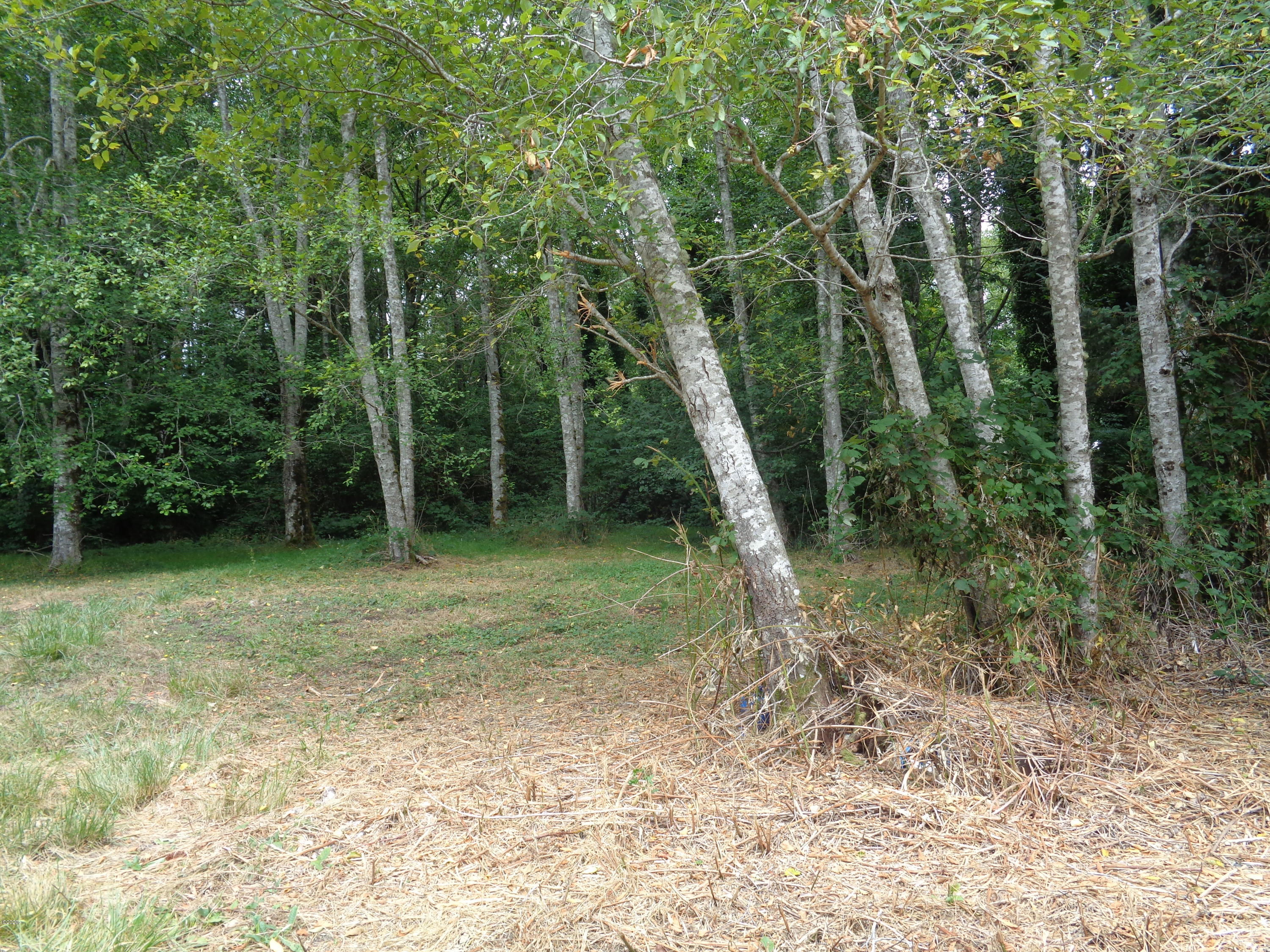 301 Northeast East Devils Lake Road Otis, OR 97368 - Photo 4 of 4 DSC01008