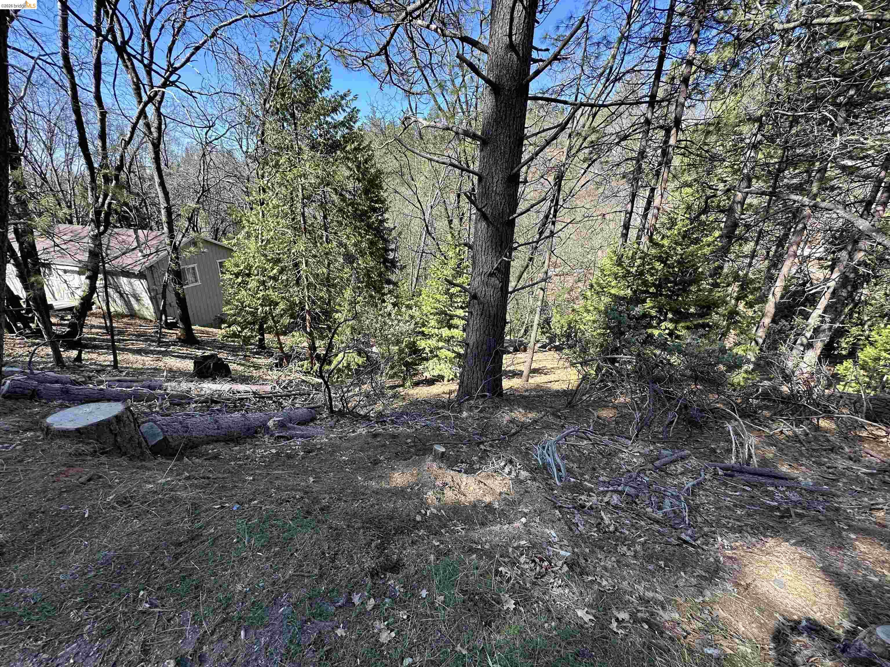 23956 Stable Road Sonora, CA 95370 - Photo 6 of 13 Gallery Image 6