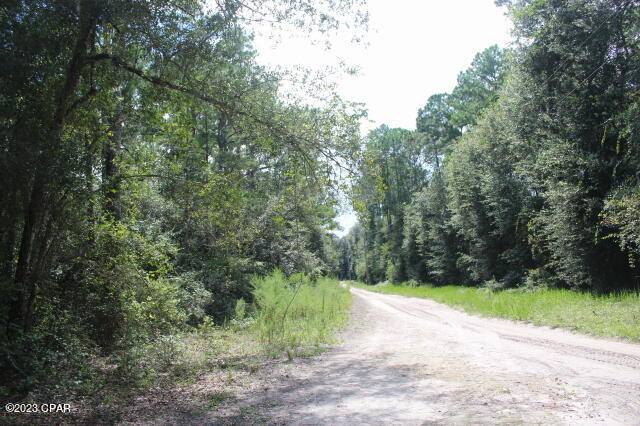 0 Bills Way Keystone Heights, FL 32656 - Photo 9 of 17 Gallery Image 9