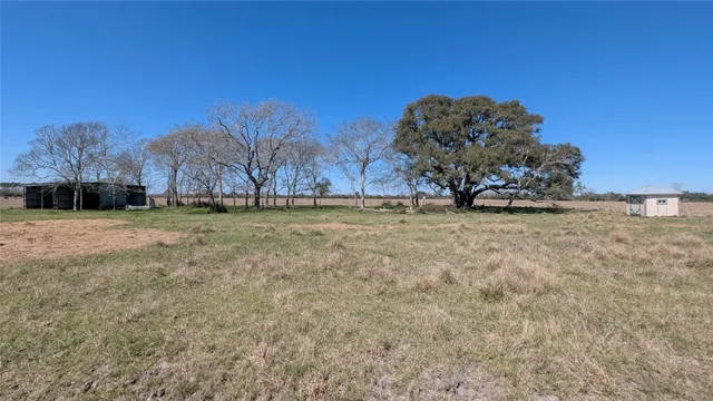 a view of a yard with a tree