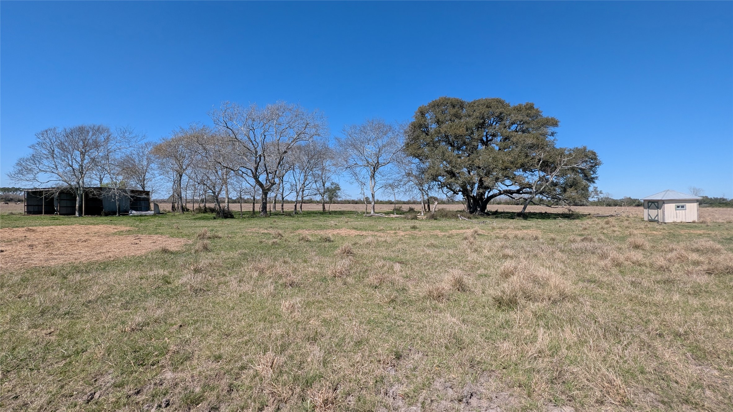 0 Cr 211 - Sless Road Louise, TX 77455 - Photo 5 of 11 a view of a yard with a tree
