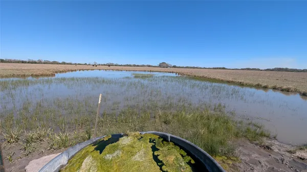 a view of a field with trees in background