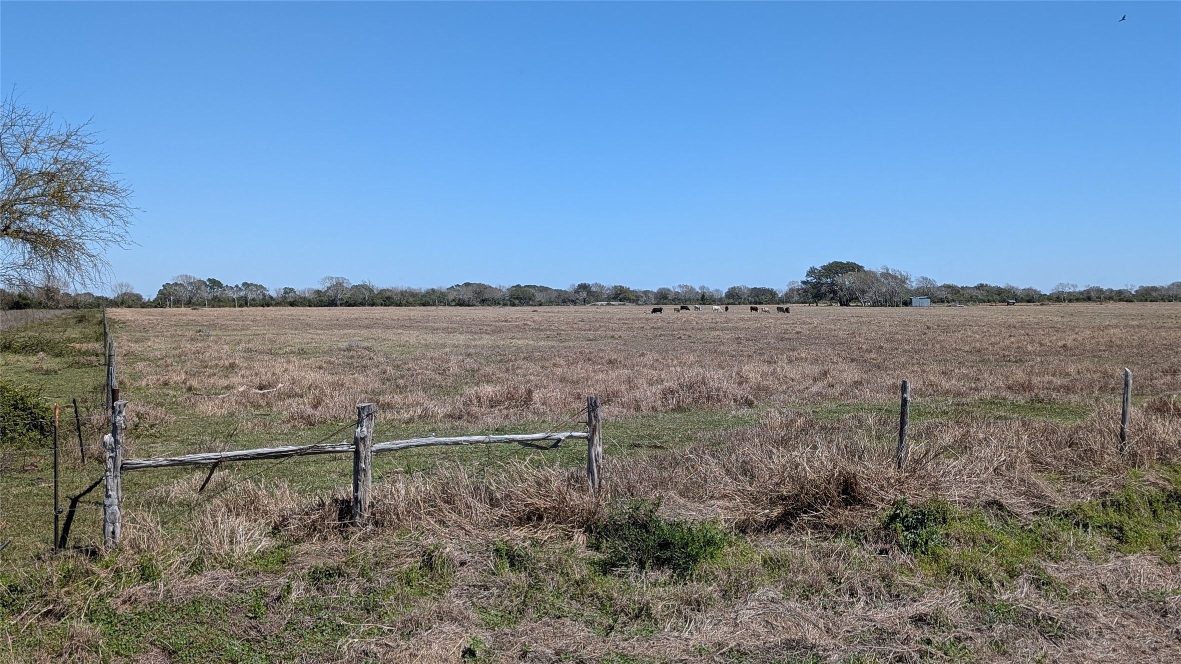 0 Cr 211 - Sless Road Louise, TX 77455 - Photo 10 of 11 a view of a field with trees in background