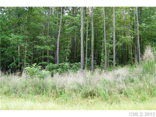 Lot 12 Lometa Road, Unit 12 York, SC 29745 - Photo 1 of 4 Gallery Image 1