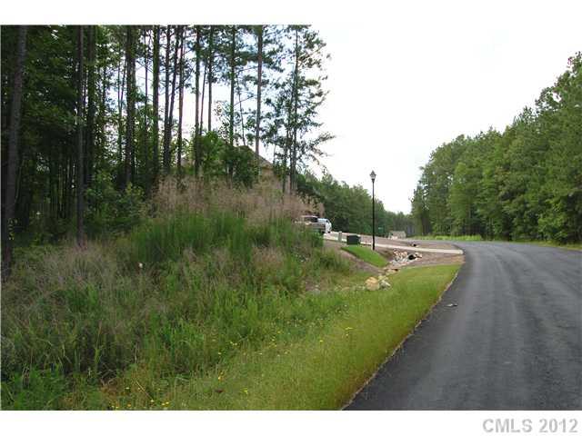 Lot 12 Lometa Road, Unit 12 York, SC 29745 - Photo 2 of 4 Gallery Image 2
