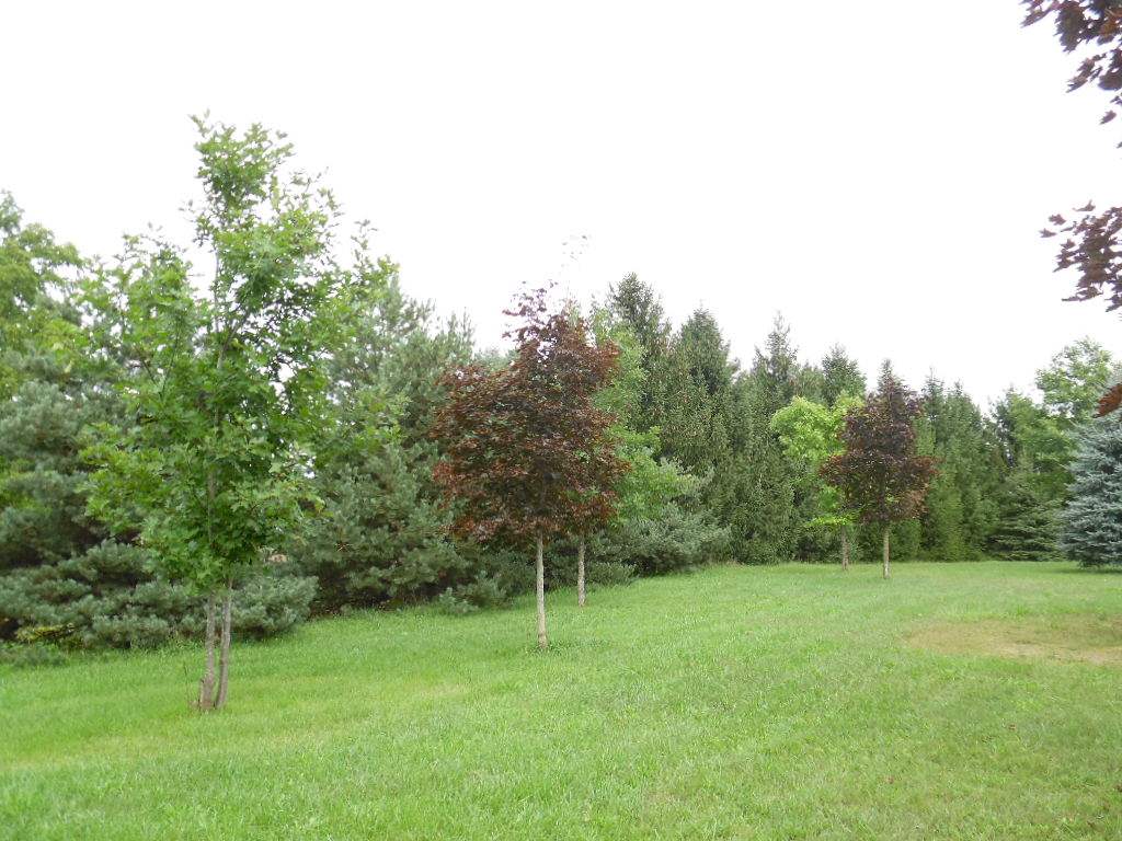 1794 North Meridian Road Ovid, MI 48866 - Photo 6 of 19 31302651-5.JPG