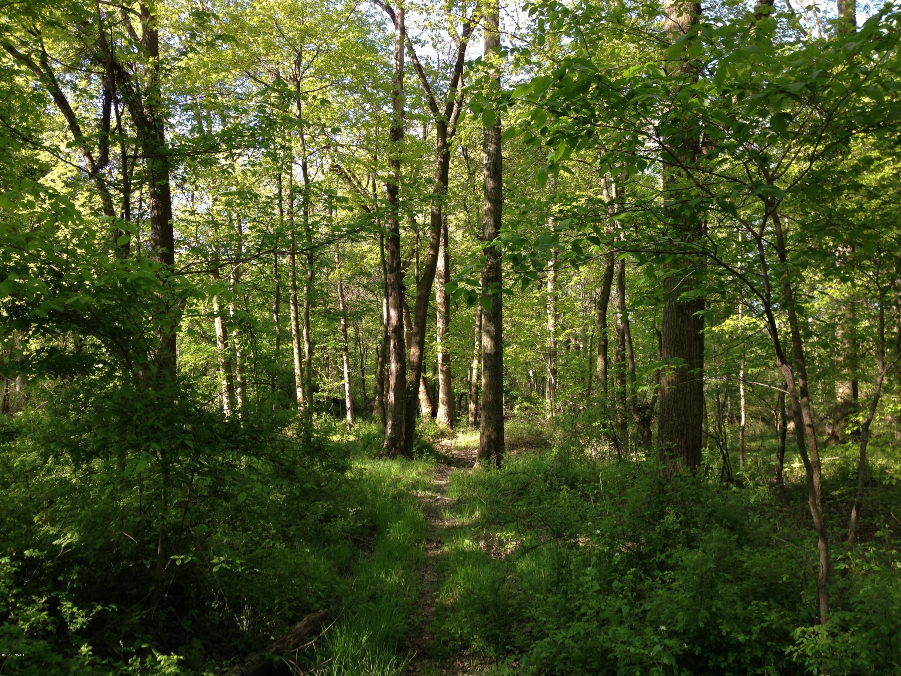 Dryden Road Walton, NY 13856 - Photo 12 of 33