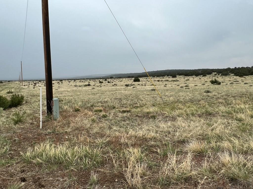 24-26 Turkey Ridge Ranch Walsenburg, CO 81089 - Photo 8 of 10 Gallery Image 8