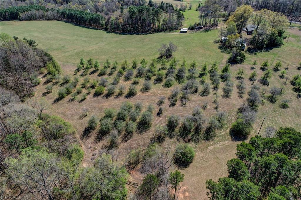 0 Blanch Road Blanch, NC 27212 - Photo 11 of 27