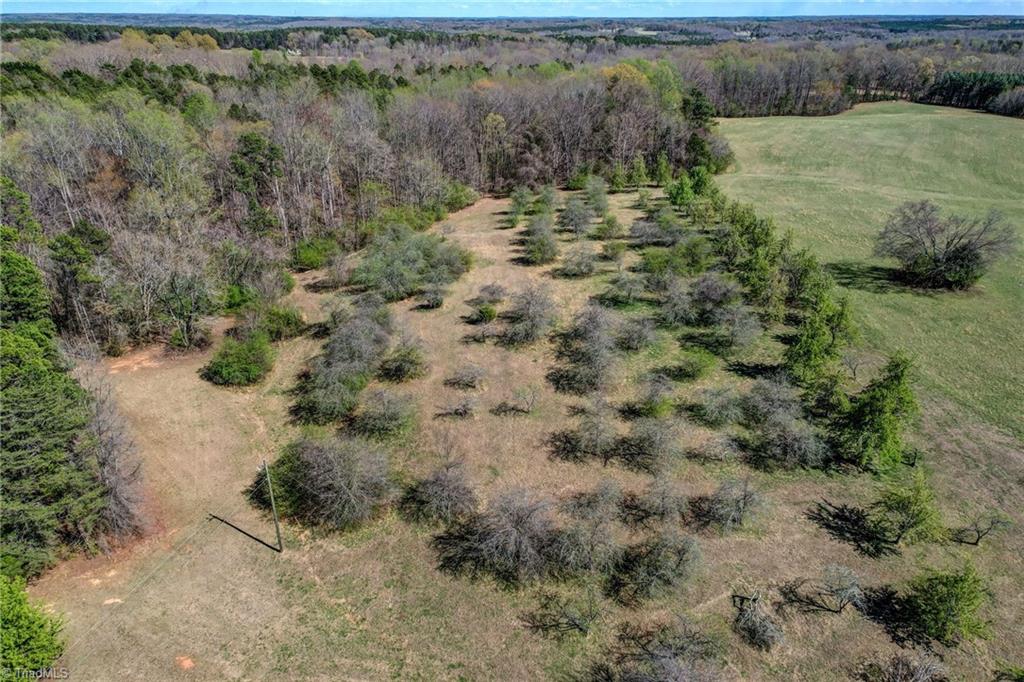 0 Blanch Road Blanch, NC 27212 - Photo 15 of 27