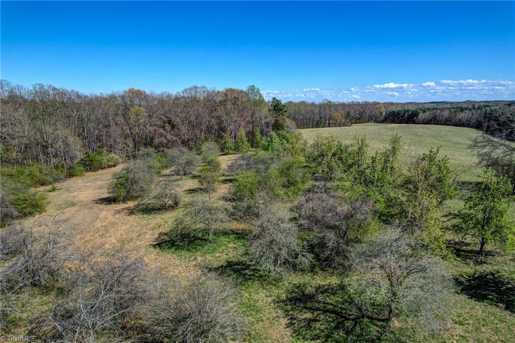 0 Blanch Road Blanch, NC 27212 - Photo 20 of 27