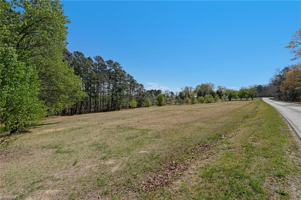 0 Blanch Road Blanch, NC 27212 - Photo 2 of 27