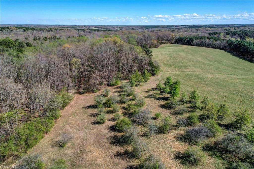 0 Blanch Road Blanch, NC 27212 - Photo 21 of 27