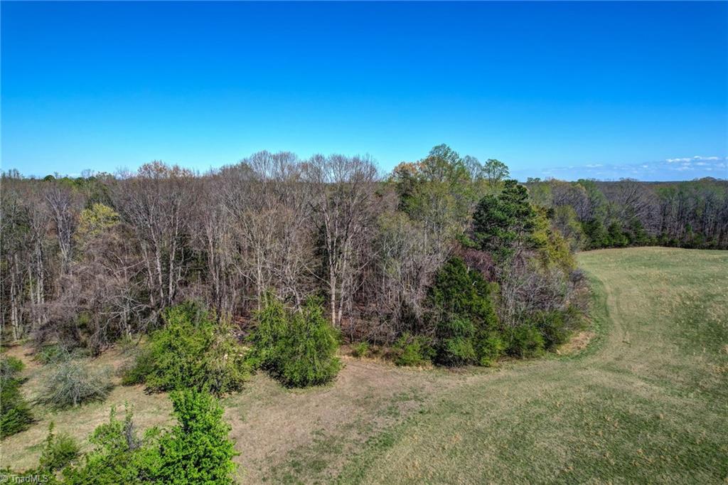 0 Blanch Road Blanch, NC 27212 - Photo 22 of 27