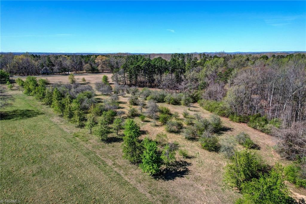 0 Blanch Road Blanch, NC 27212 - Photo 24 of 27