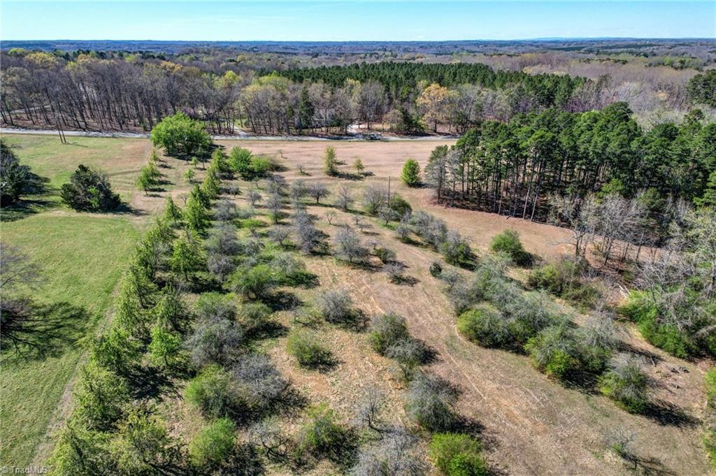 0 Blanch Road Blanch, NC 27212 - Photo 25 of 27