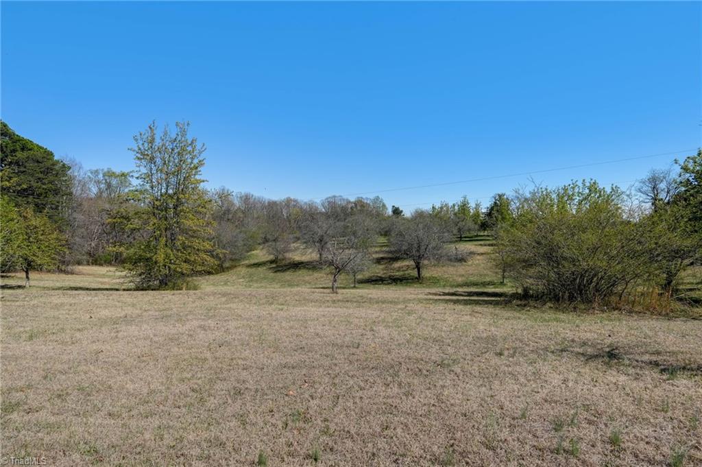 0 Blanch Road Blanch, NC 27212 - Photo 6 of 27