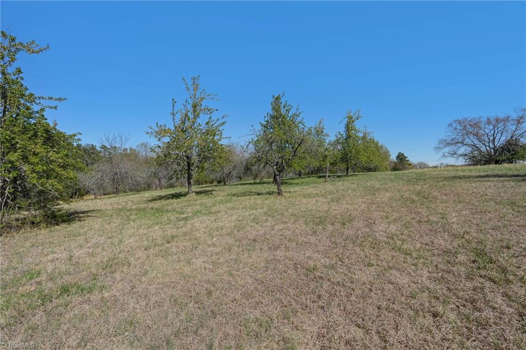 0 Blanch Road Blanch, NC 27212 - Photo 8 of 27