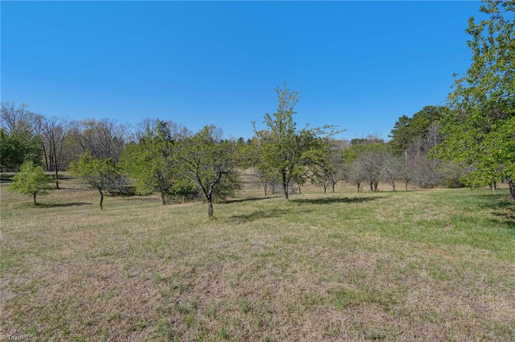 0 Blanch Road Blanch, NC 27212 - Photo 10 of 27