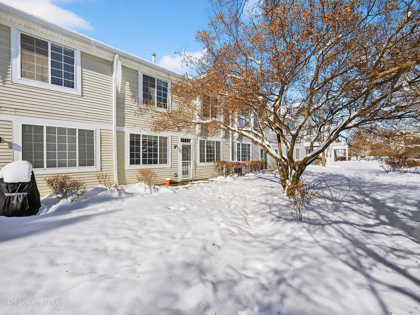 31104 Carpenter Court Warrenville, IL 60555 - Photo 26 of 32 a view of a house with a snow in the yard