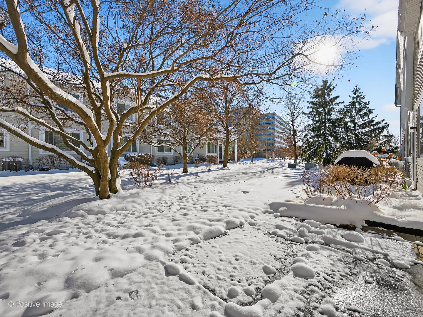 31104 Carpenter Court Warrenville, IL 60555 - Photo 27 of 32 a view of snow on the street