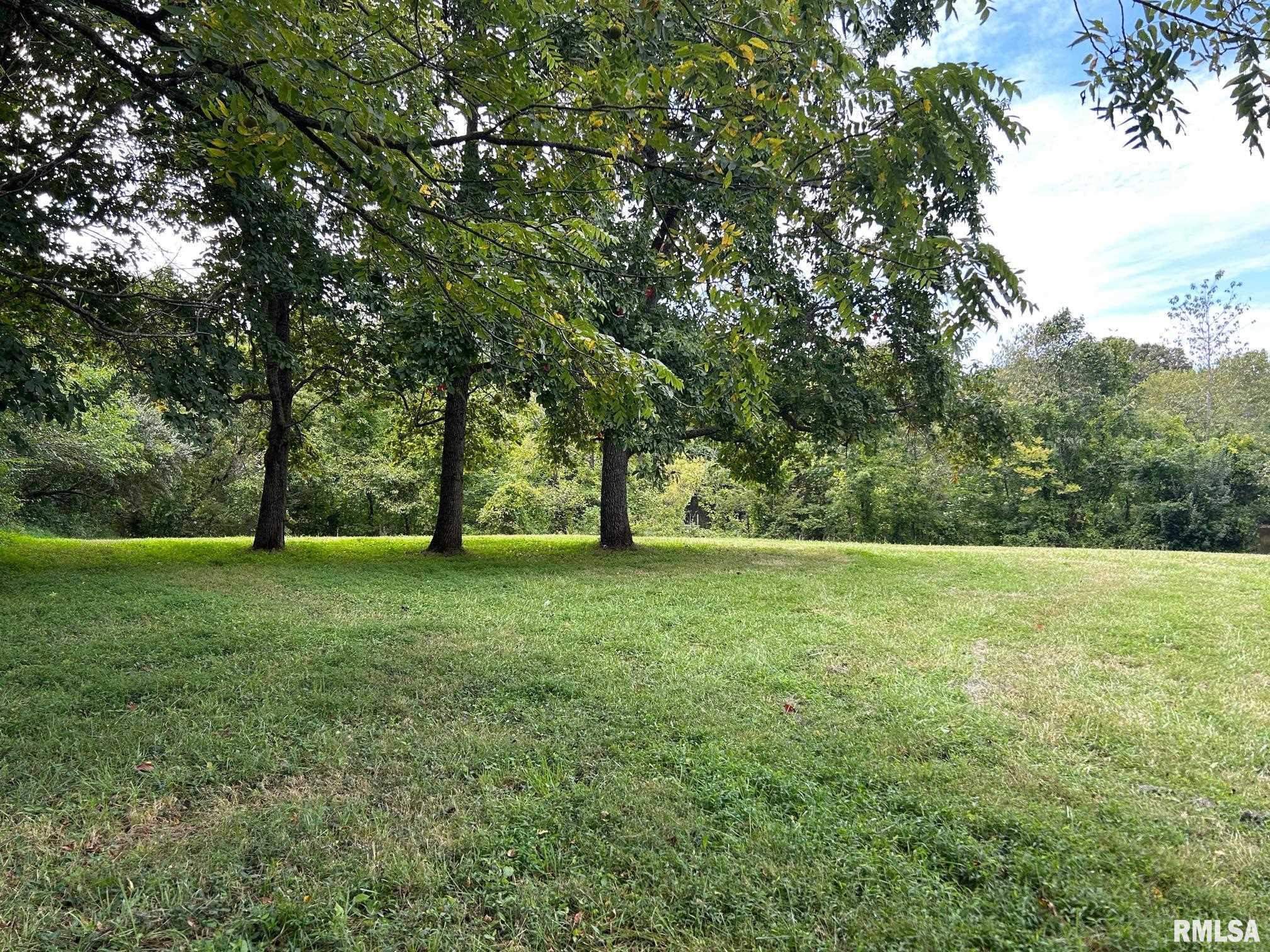 4040 Boskydell Road Carbondale, IL 62903 - Photo 42 of 45 Gallery Image 42