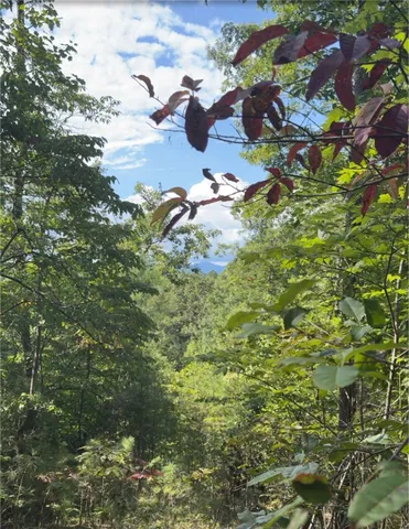 $1,200,000 | 3 Lakeside Drive, Six Mile, SC 29682