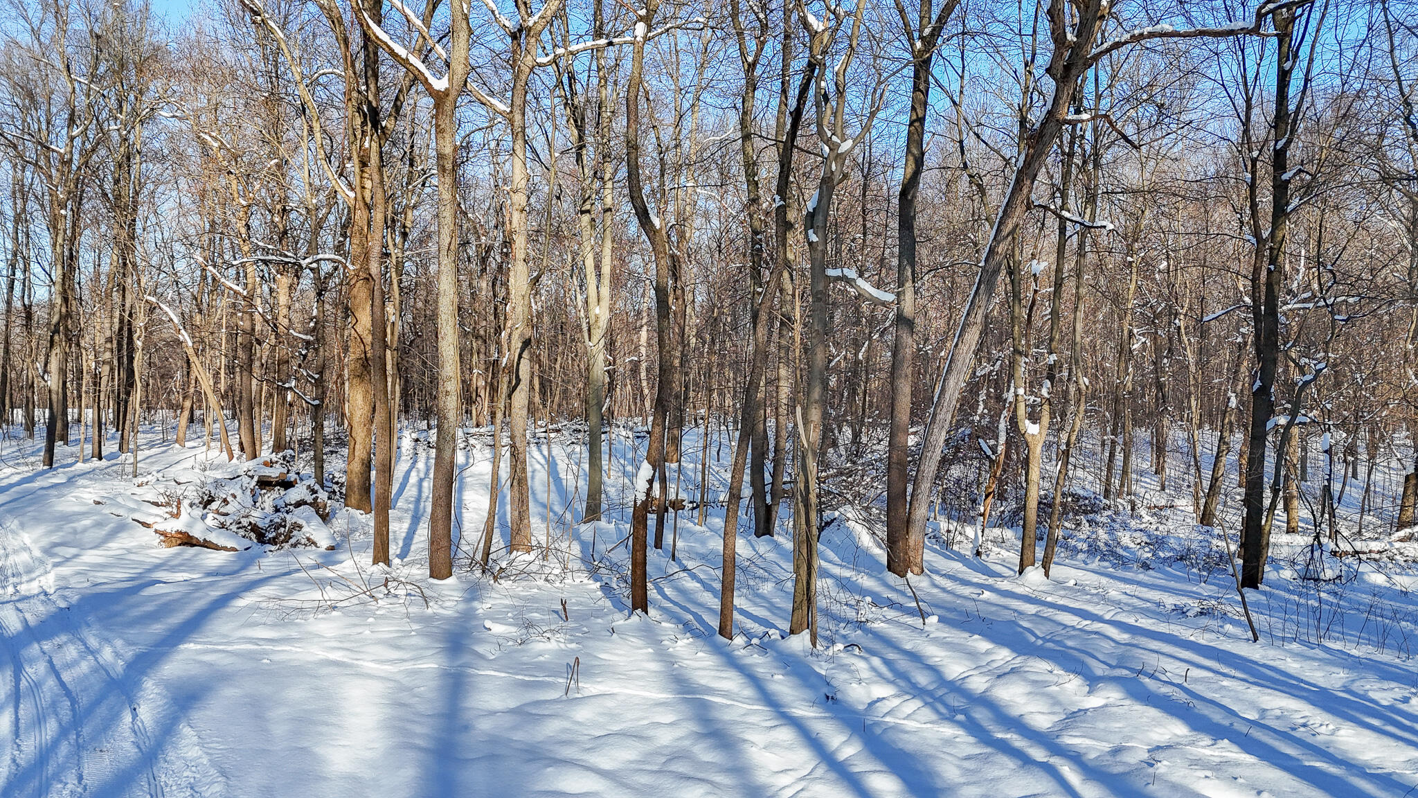 2 Forest Road Dowagiac, MI 49047 - Photo 11 of 15 dji_fly_20250115_154058_0465_17369755404