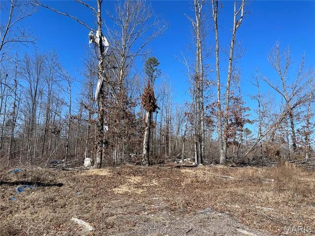 $119,500 | 2677 Wayne Route, Piedmont, MO 63957