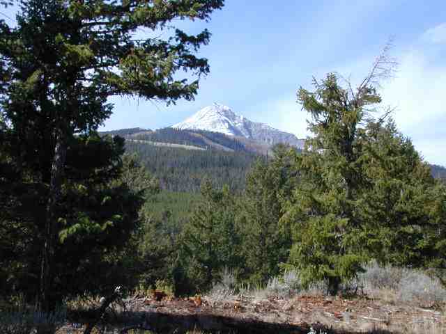 133 Antler Ridge Road Big Sky, MT 59716 - Photo 1 of 1 Gallery Image 1