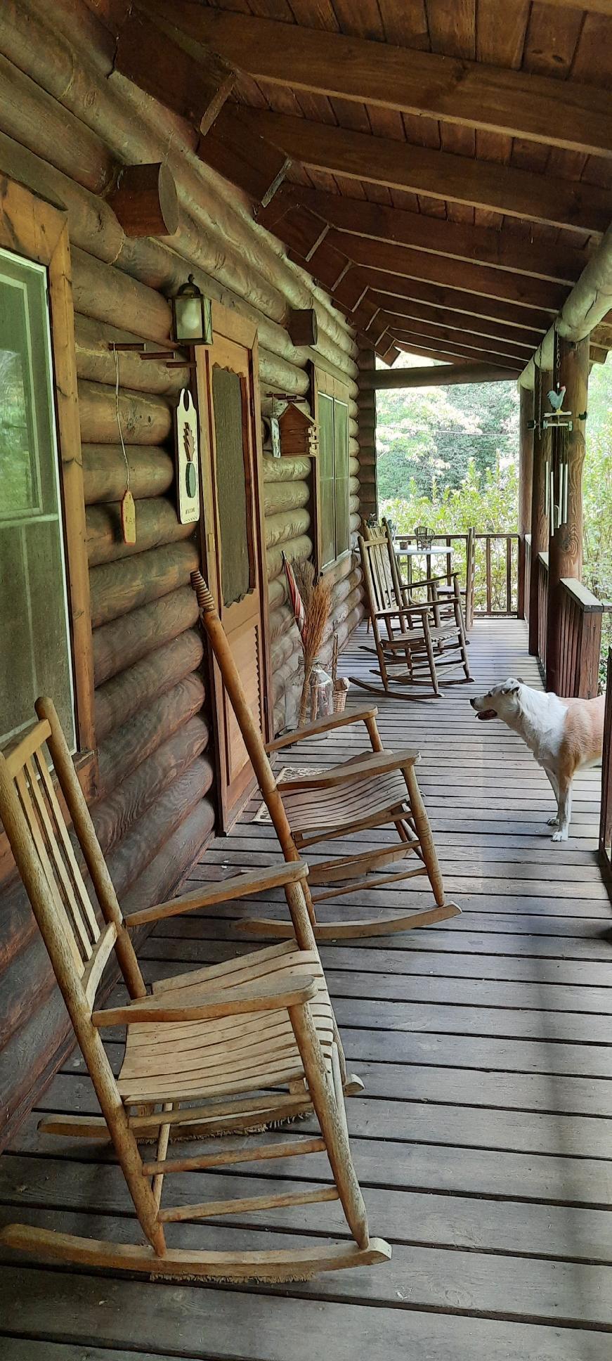4225 Whitaker Road Harlem, GA 30814 - Photo 2 of 11 Front porch