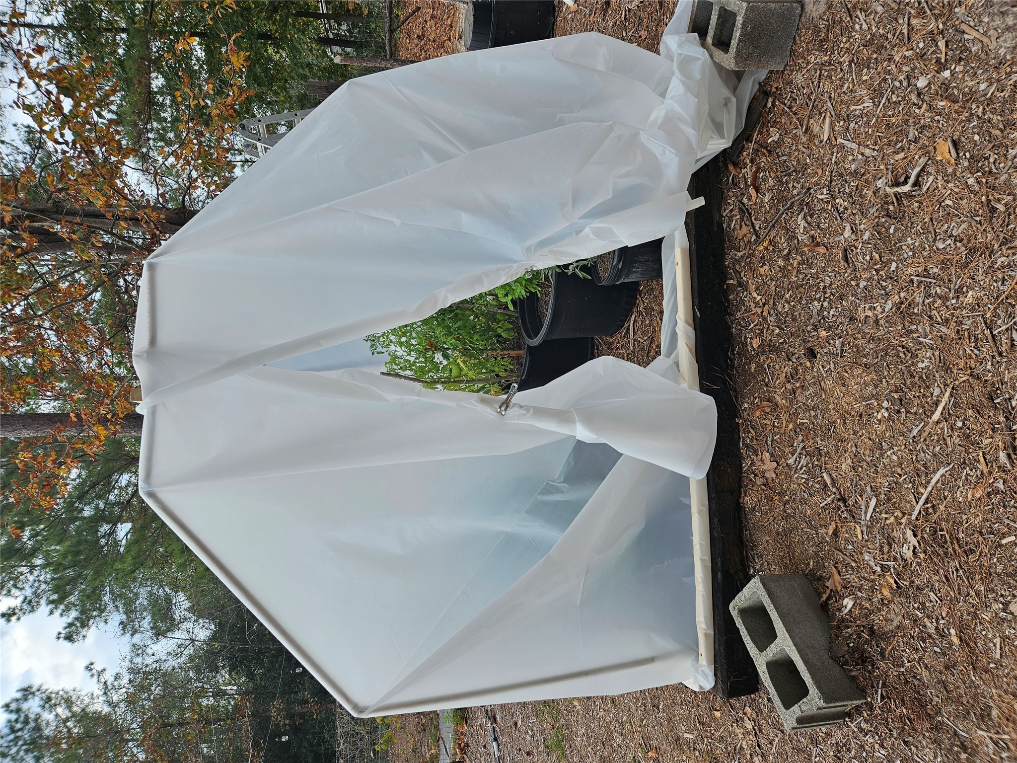 391 Deer Country Road Chester, TX 75936 - Photo 4 of 15 a view of outdoor space and sink